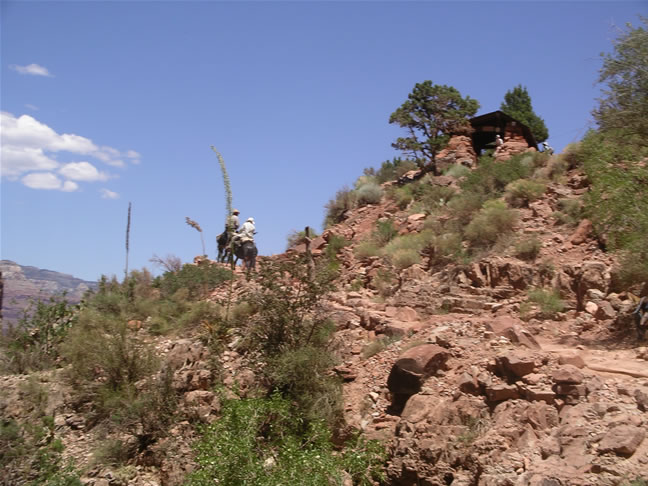 images/A-Mule Ride- returning to the Rim (32).jpg